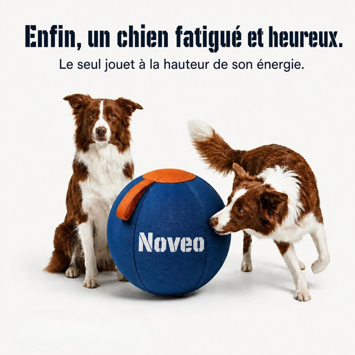 La balle qui épuise les chiens infatigables